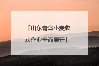 山东青岛小麦收获作业全面展开