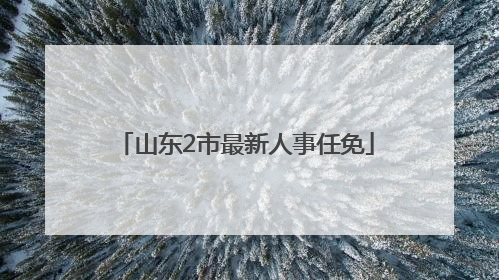 山东2市最新人事任免