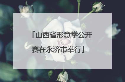 山西省形意拳公开赛在永济市举行