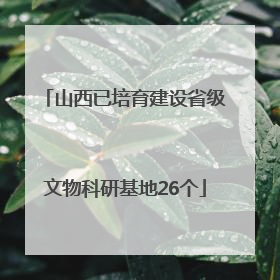山西已培育建设省级文物科研基地26个