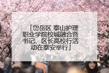 岱岳区 泰山护理职业学院校城融合暨书记、区长高校行活动在泰安举行