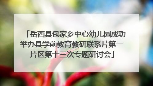岳西县包家乡中心幼儿园成功举办县学前教育教研联系片第一片区第十三次专题研讨会