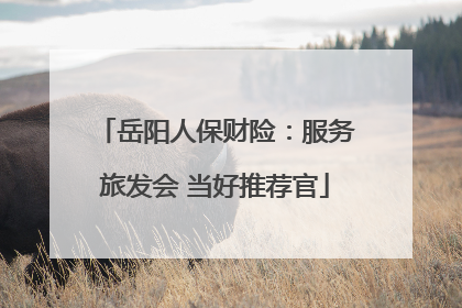 岳阳人保财险：服务旅发会 当好推荐官