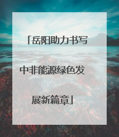 岳阳助力书写中非能源绿色发展新篇章