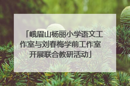 峨眉山杨丽小学语文工作室与刘春梅学前工作室开展联合教研活动