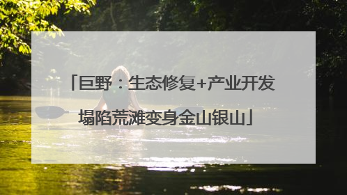 巨野：生态修复+产业开发 塌陷荒滩变身金山银山