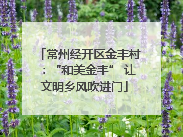 常州经开区金丰村：“和美金丰” 让文明乡风吹进门