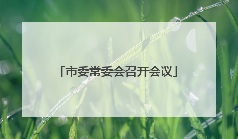 市委常委会召开会议