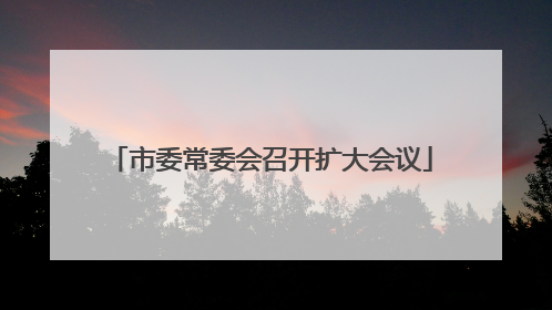 市委常委会召开扩大会议
