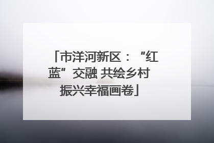 市洋河新区：“红蓝”交融 共绘乡村振兴幸福画卷