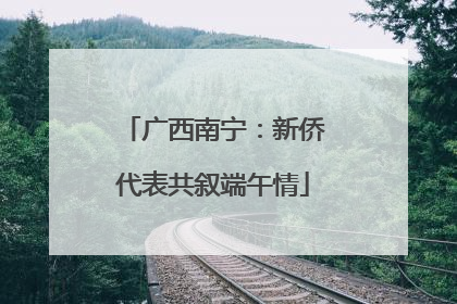 广西南宁：新侨代表共叙端午情