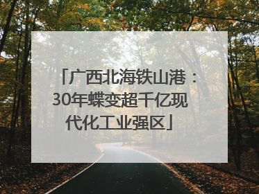 广西北海铁山港：30年蝶变超千亿现代化工业强区