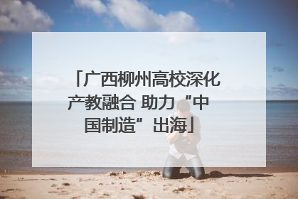 广西柳州高校深化产教融合 助力“中国制造”出海