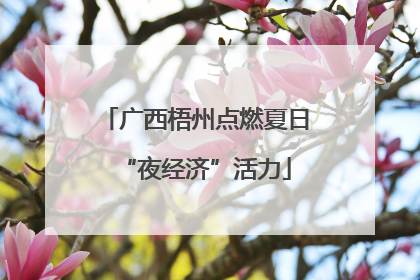 广西梧州点燃夏日“夜经济”活力