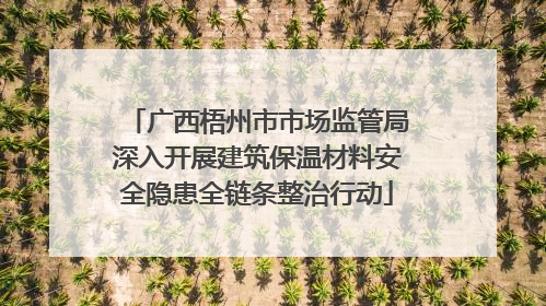 广西梧州市市场监管局深入开展建筑保温材料安全隐患全链条整治行动