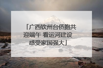 广西钦州台侨胞共迎端午 看运河建设感受家国强大