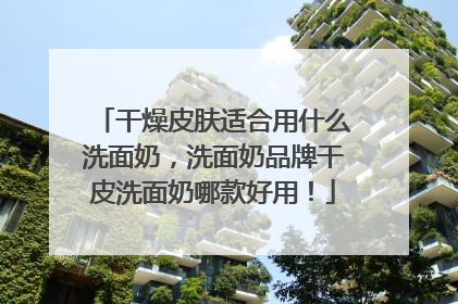 干燥皮肤适合用什么洗面奶，洗面奶品牌干皮洗面奶哪款好用！