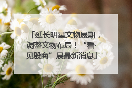 延长明星文物展期，调整文物布局！“看·见殷商”展最新消息