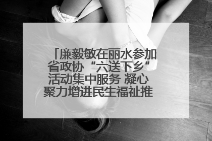 廉毅敏在丽水参加省政协“六送下乡”活动集中服务 凝心聚力增进民生福祉推进共同富裕