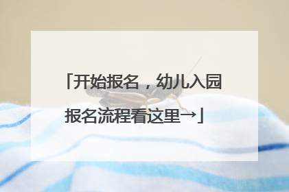 开始报名，幼儿入园报名流程看这里→