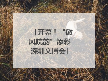 开幕！“徽风皖韵”添彩深圳文博会