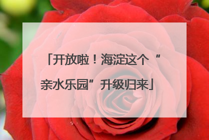 开放啦！海淀这个“亲水乐园”升级归来