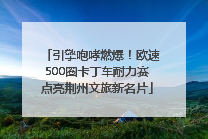 引擎咆哮燃爆！欧速500圈卡丁车耐力赛点亮荆州文旅新名片