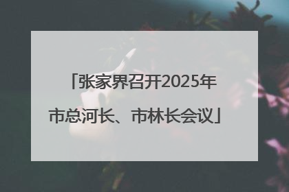 张家界召开2025年市总河长、市林长会议