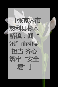 张家界市慈利县杉木桥镇：闻“汛”而动显担当 齐心筑牢“安全堤”