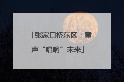 张家口桥东区：童声“唱响”未来