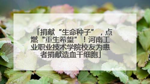 捐献“生命种子”，点燃“重生希望”！河南工业职业技术学院校友为患者捐献造血干细胞