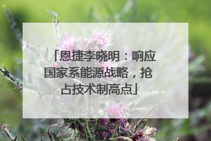 恩捷李晓明：响应国家系能源战略，抢占技术制高点