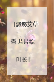 悠悠艾草香 片片粽叶长