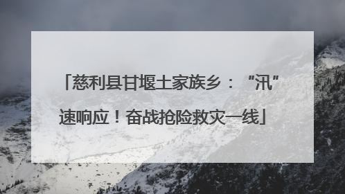 慈利县甘堰土家族乡：“汛”速响应！奋战抢险救灾一线