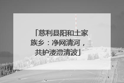 慈利县阳和土家族乡：净网清河，共护溇澧清波