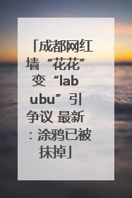 成都网红墙“花花”变“labubu”引争议 最新：涂鸦已被抹掉