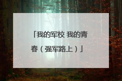 我的军校 我的青春（强军路上）