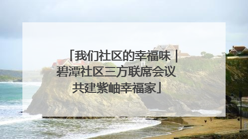 我们社区的幸福味｜碧潭社区三方联席会议共建紫岫幸福家
