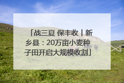 战三夏 保丰收丨新乡县：20万亩小麦种子田开启大规模收割