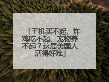 手机买不起、炸鸡吃不起、宠物养不起？这届美国人活得好难
