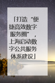 打造“便捷高效数字服务圈”，上海启动数字公共服务体系建设