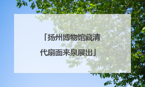 扬州博物馆藏清代扇面来泉展出