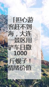 担心游客赶不到海，大连一景区用铲车日撒1000斤蚬子！情绪价值拉满！
