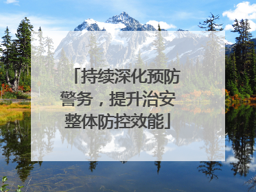 持续深化预防警务，提升治安整体防控效能