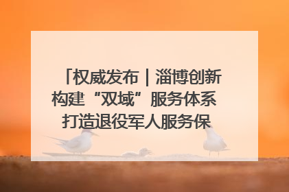 权威发布｜淄博创新构建“双域”服务体系 打造退役军人服务保障“淄博样板”