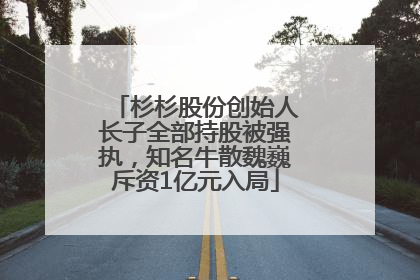 杉杉股份创始人长子全部持股被强执，知名牛散魏巍斥资1亿元入局