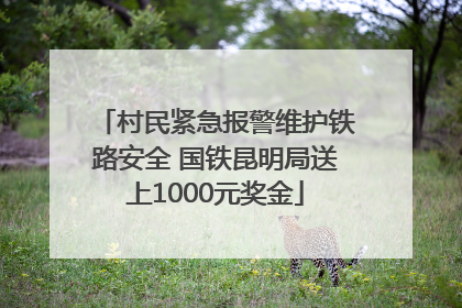 村民紧急报警维护铁路安全 国铁昆明局送上1000元奖金