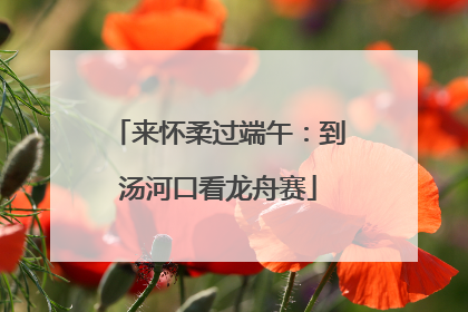 来怀柔过端午：到汤河口看龙舟赛