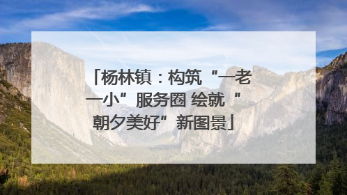 杨林镇：构筑“一老一小”服务圈 绘就“朝夕美好”新图景
