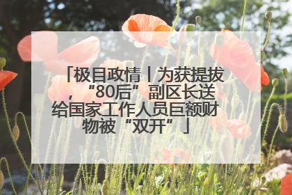 极目政情丨为获提拔，“80后”副区长送给国家工作人员巨额财物被“双开”
